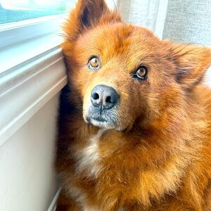 Meet your Posher, Evan